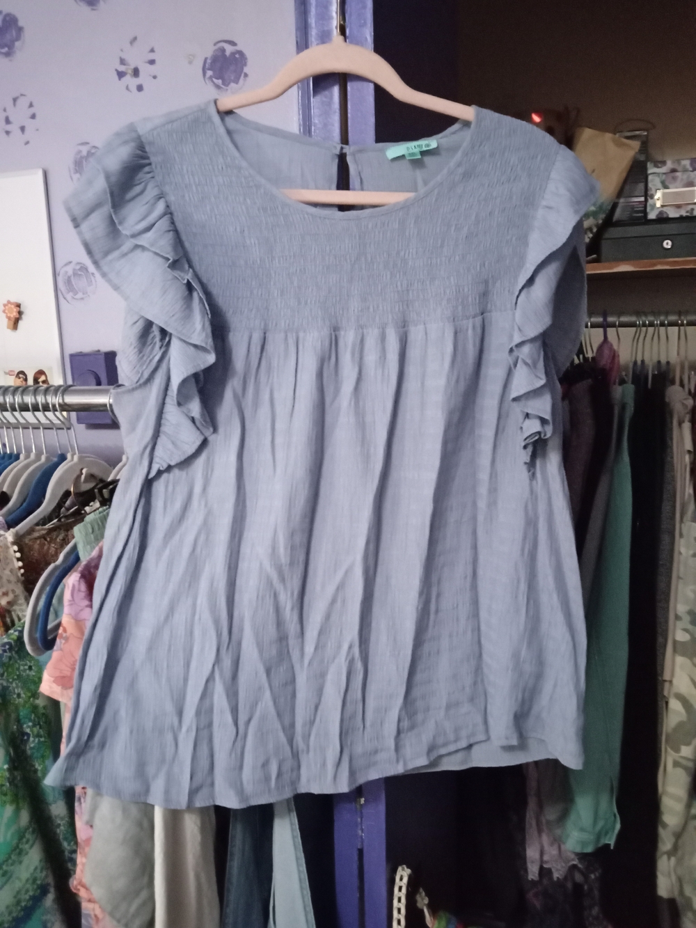 P.S. Kate Blue Ruffle Sleeve Women's Top